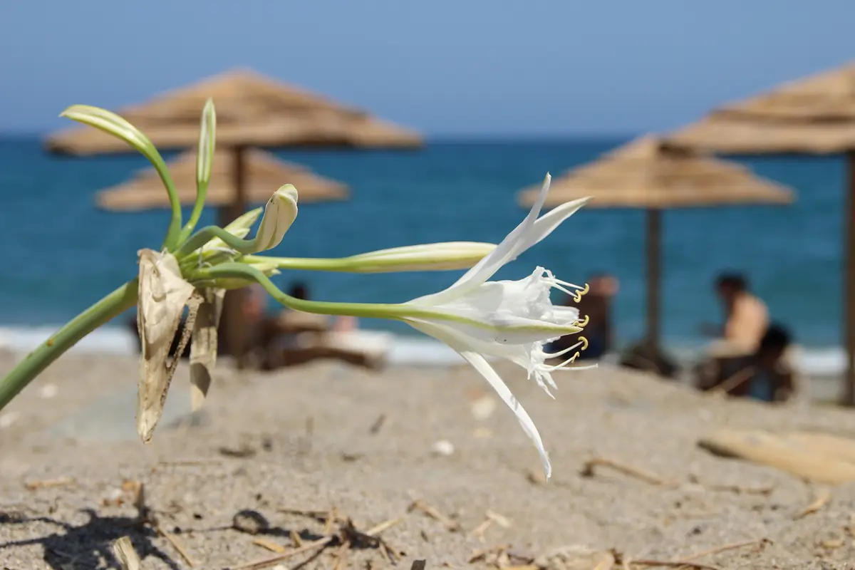 Kolymbari beach photo 3